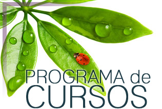 programa de cursos